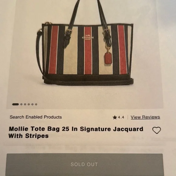 Coach Multicolor Striped Women's Bag - Picture 14 of 16